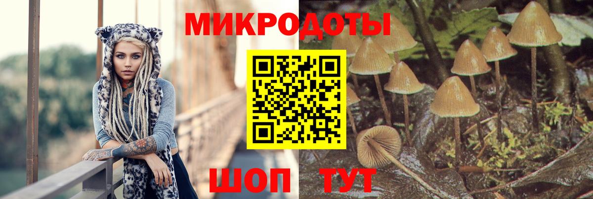 Галлюциногенные грибы MAGIC MUSHROOMS Протвино
