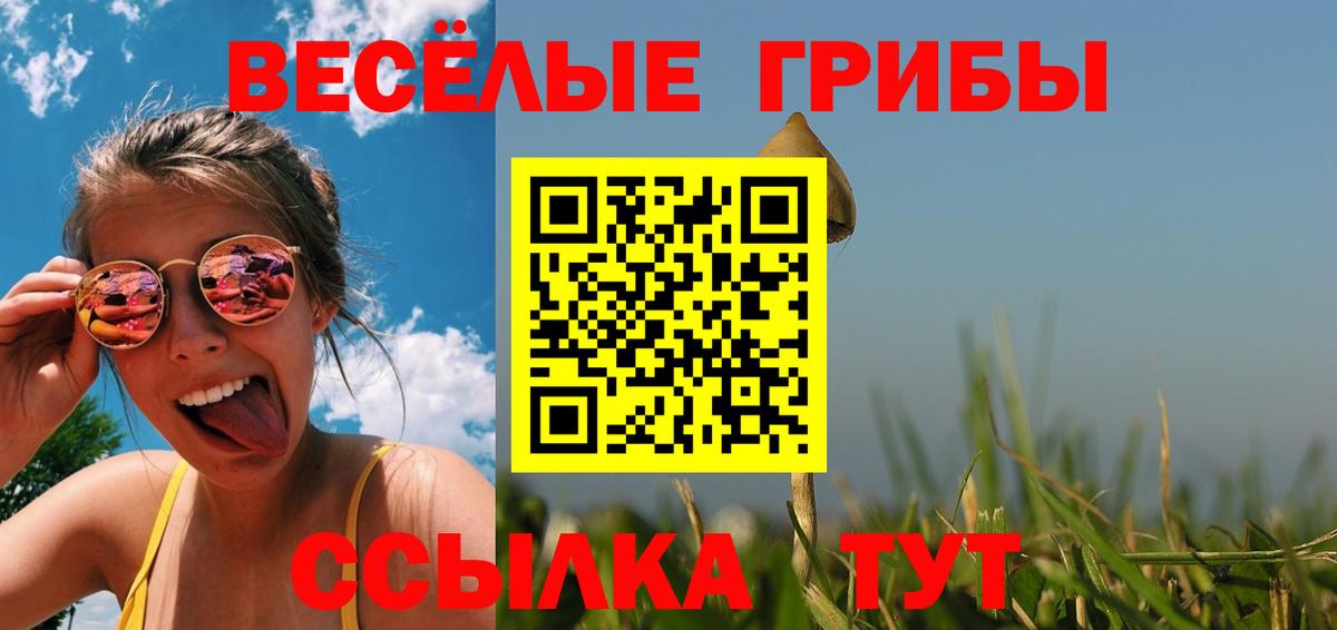Протвино  Псилоцибиновые грибы ЛСД  Вход с VPN 